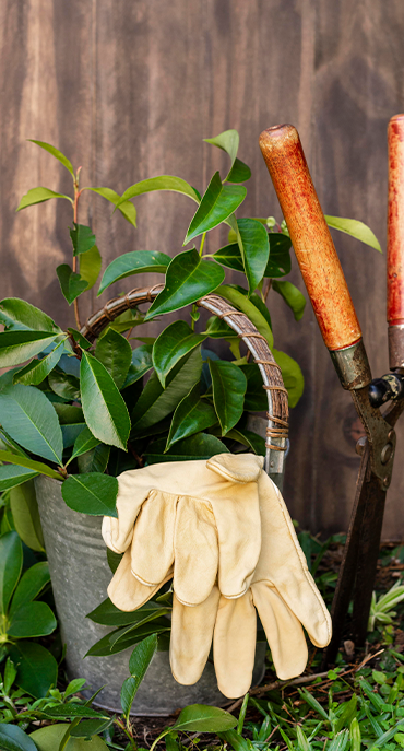 jardineria2